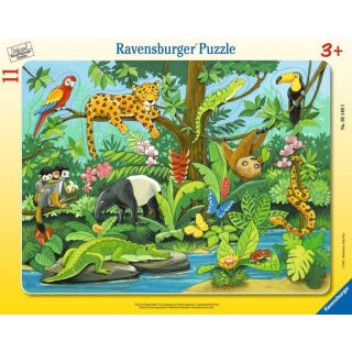 Tiere im Regenwald (11 Teile)
