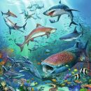 Tierwelt des Ozeans (3 x 49 Teile)