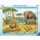 Afrikas Tierwelt (30 Teile)