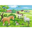 Tierkinder auf dem Land (2 x 12 Teile)