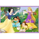 In der Welt der Disney Prinzessinnen (2 x 12 Teile)