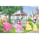 Zauberhafte Prinzessinnen (2 x 24 Teile)
