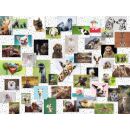 Funny Animals Collage (1.500 Teile)