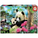 Kuschelnde Pandas (1.000 Teile)