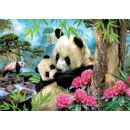 Kuschelnde Pandas (1.000 Teile)