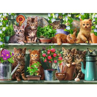 Katzen im Regal (500 Teile)