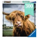 Highland Cattle (300 Teile)
