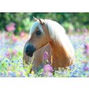 Pferd im Blumenmeer (300 Teile)