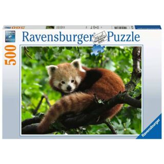 Süßer roter Panda (500 Teile)